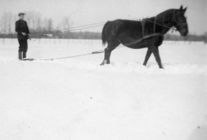 F61 Paardenliefhebber op de sneeuwschuif